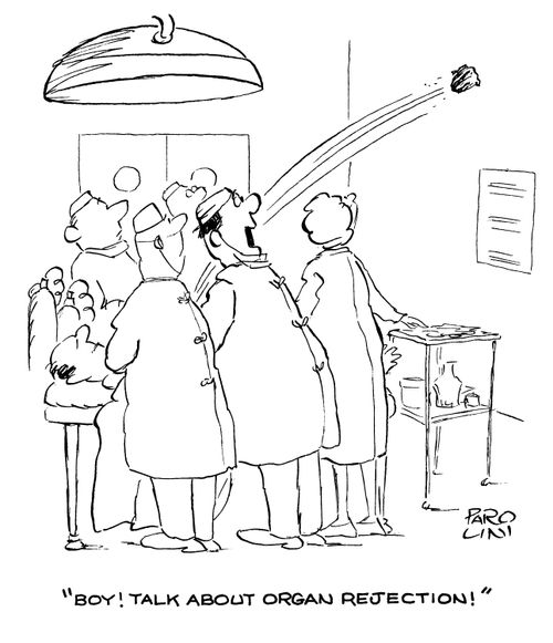 'BOy! Talk about organ rejection!'