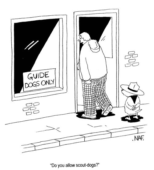 'Do you allow scout-dogs?'