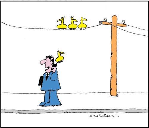 Man on mobile phone has a bird sitting on the antenae.