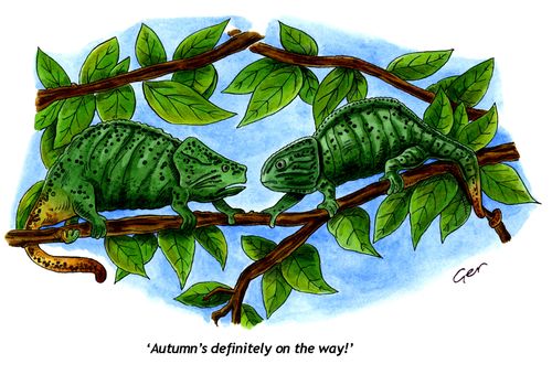 "Autumns's definitely on the way!"