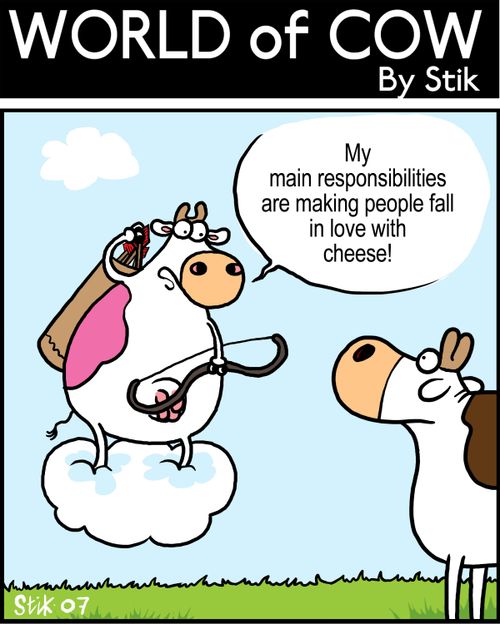 'My main responsibilities are making people fall in love with cheese!'