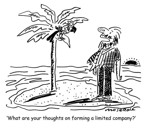 'What are your thoughts on forming a limited company ?'