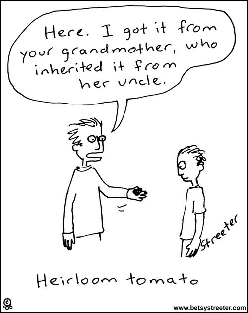 Heirloom tomato.