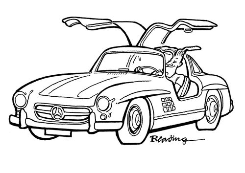 cars and their owners hairstyles.