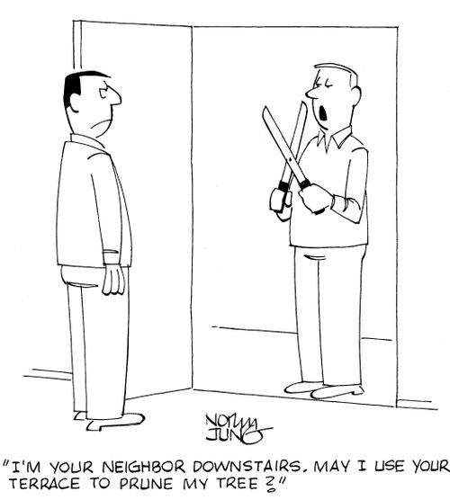 'I'm your neighbor downstairs. May I use your terrace to prune my tree?'