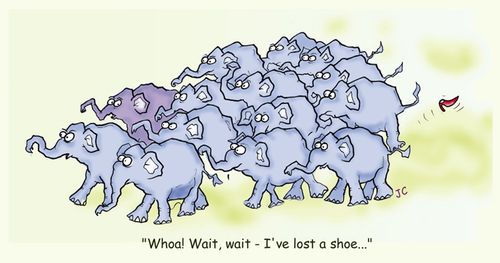 'Whoa! Wait, wait - I've lost a shoe.'