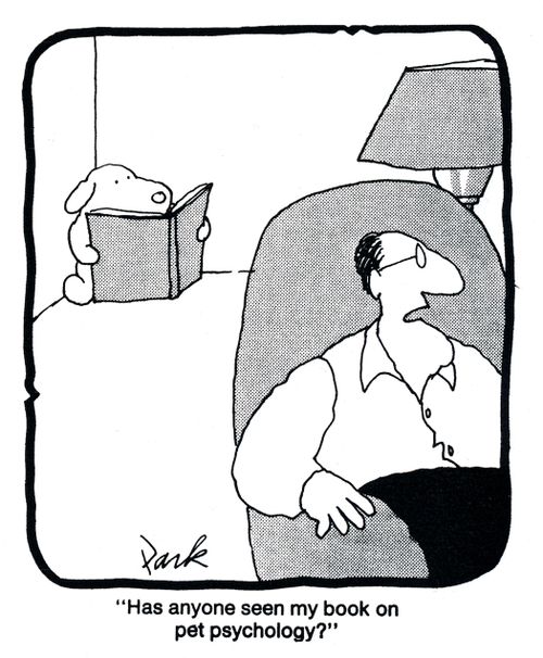 'Has anyone seen my book on pet psychology?'