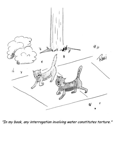 'In my book, any interrogation involving water constitutes torture.'