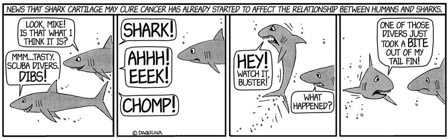News that shark cartridge may cure cancer has already started to affect the relationship between humans and sharks.