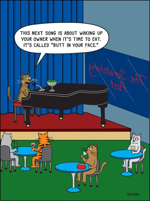 'This next song is about waking up your owner when's it's time to eat. It's called 'Butt in the Face.''
