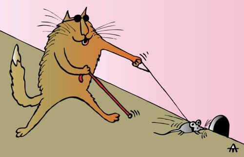 Blind cat and mouse