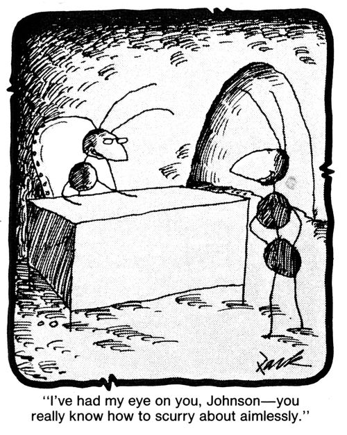 'I've had my eye on you, Johnson - You really know how to scurry about aimlessly.'