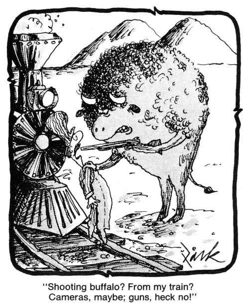 'Shooting buffalo? From my train? Cameras, maybe; guns, heck no!'