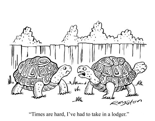 Tortoise says: 'Times are hard, I've had to take in a lodger.'