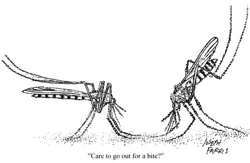 'Care to go out for a bite?'