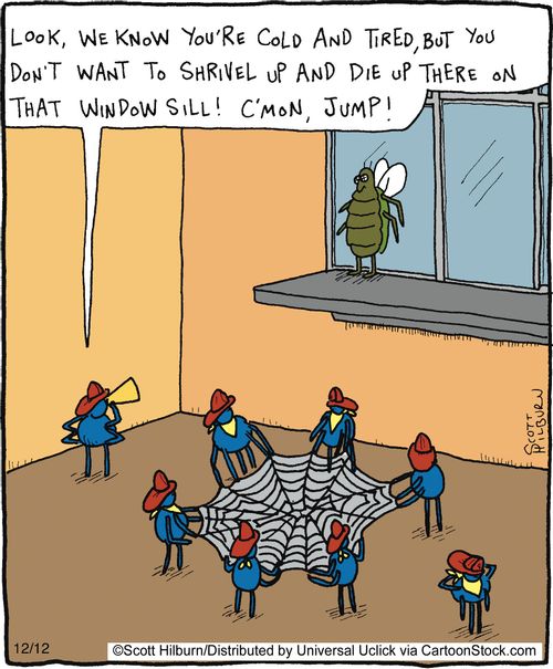 Look, we know you're cold and tired, but you don't want to shrivel up and die up there on that window sill! C'mon, jump!