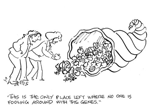 'this is the only place where no one is fooling around with the genes.'