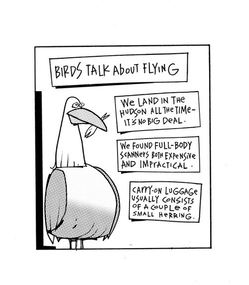 Birds talk about flying...we land in the Hudson all the time - no big deal.