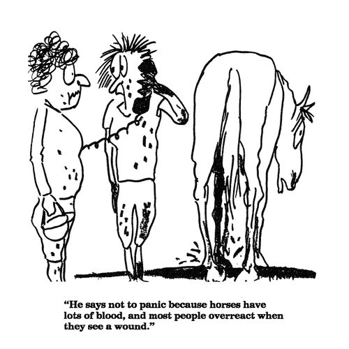 'He says not to panic because horses have lots of blood,...