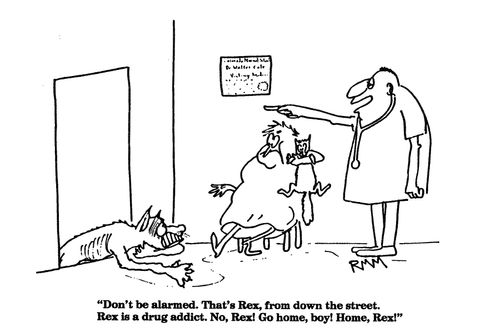 'Don't be alarmed.  That's Rex, from down the street. Rex is a drug addict. No, Rex! Go home bu! Home Rex!'
