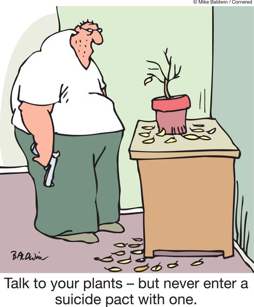Talk to your plants - but never enter a suicide pact with one.