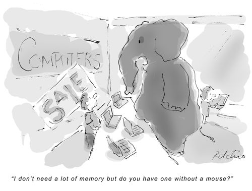 'I don't need a lot of memory but do you have one without a mouse?'