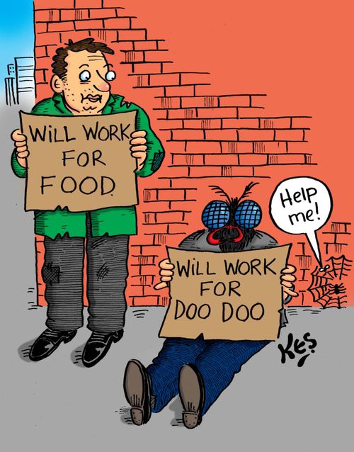 Man with sign: 'Will work for food' Sees a man with fly's head, with sign: 'Will work for doo doo'.