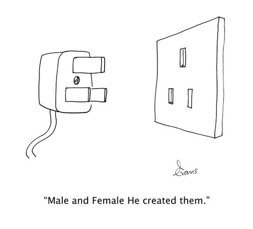 'Male and Female He created them.'