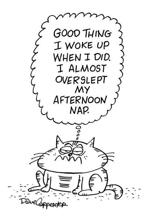 '...I almost overslept my afternoon nap.'