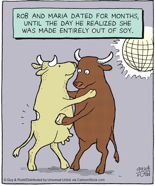 Rob and Maria dated for months, until the day he realized she was made entirely out of soy.