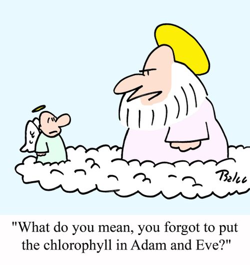 'What do you mean, you forgot to put the chlorophyll in Adam and Eve?'