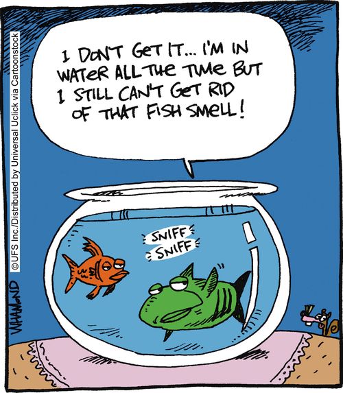 'I don't get it... I'm in water all the time but I can't get rid of that fish smell.'