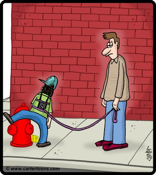 Child on leash peeing on fire hydrant.