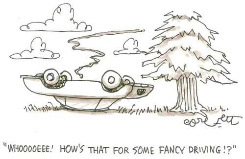 'WHOOOEEE! How's that for some fancy driving!?'