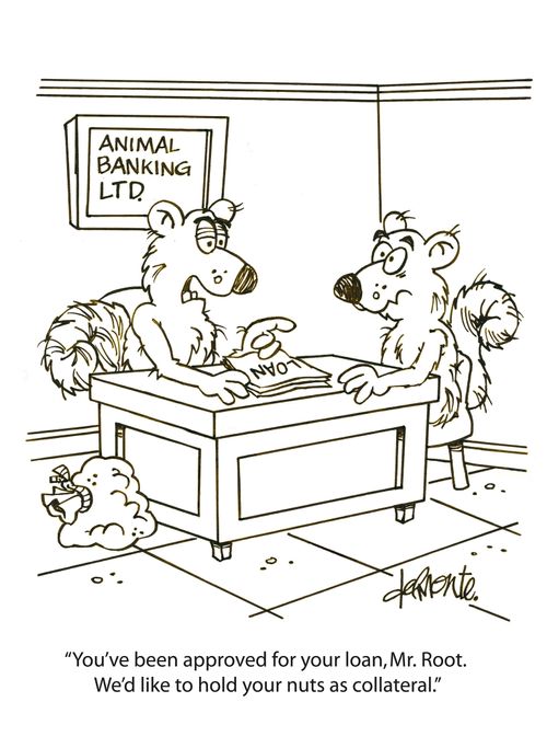 'You've been approved for your loan, Mr. Root. We'd like to hold your nuts as collateral.'