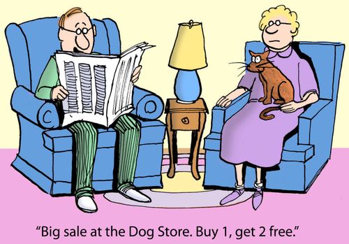 'Big sale at the Dog Store. Buy 1, get 2 free.'
