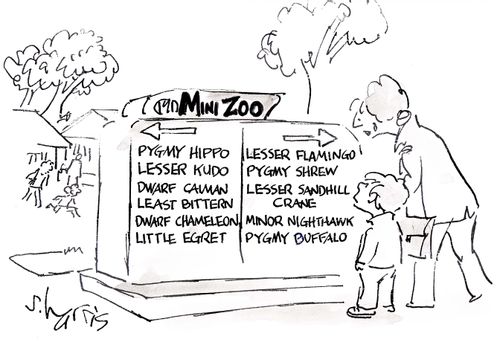 Mini Zoo: Minor Nighthawk, Pygmy Buffalo, Dwarf Chameleon.