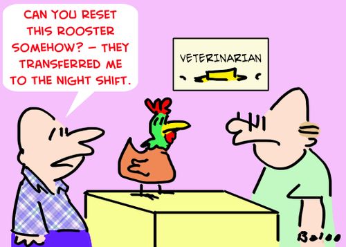 'Can you reset this rooster somehow? -- They transferred me to the night shift.'