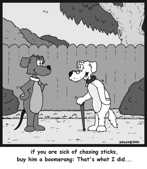 'If you are sick of chasing sticks, buy him a boomerang: That's what I did...'