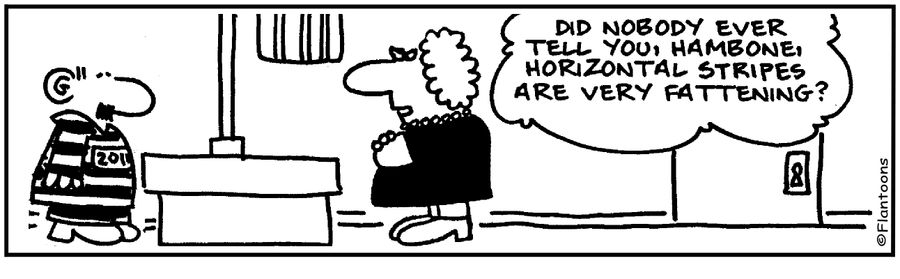 Horizontal stripes make you look fat.