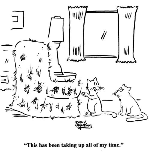 'This has been taking up all of my time.'