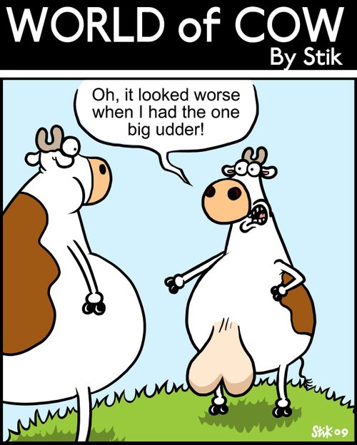Oh, it looked much worse when I had the one big udder!