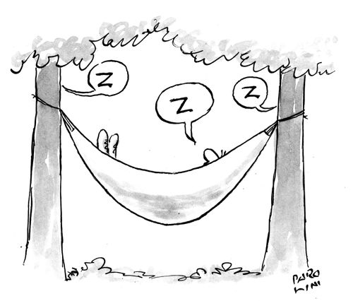 Everyone's Asleep.