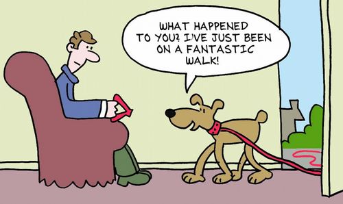 'What happened to you? I've been on a fantastic walk.'
