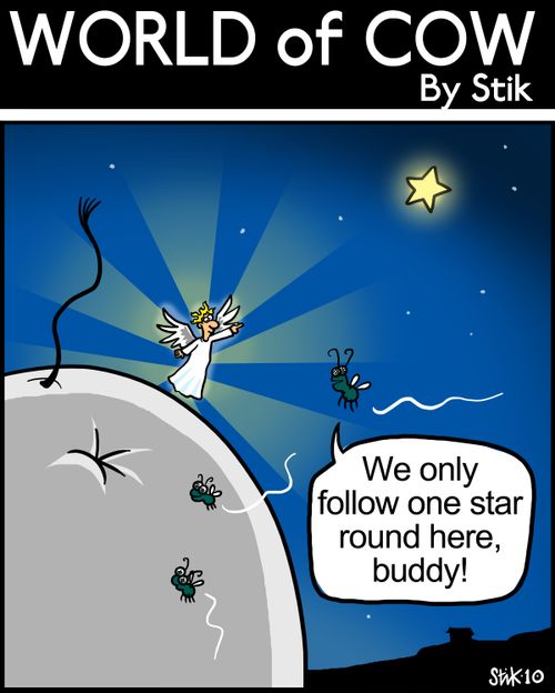 We only follow one star round here, buddy!