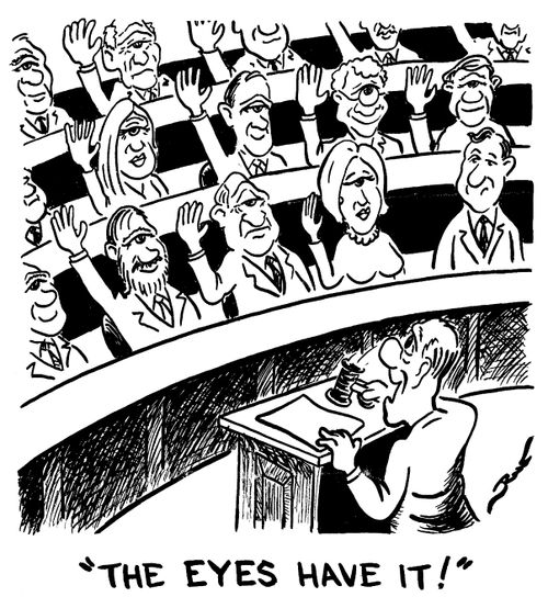 The eyes have it.