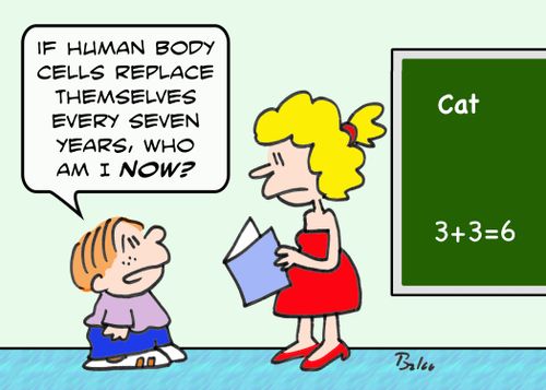 'If human body cells replace themselves every seven years, who am I NOW?'
