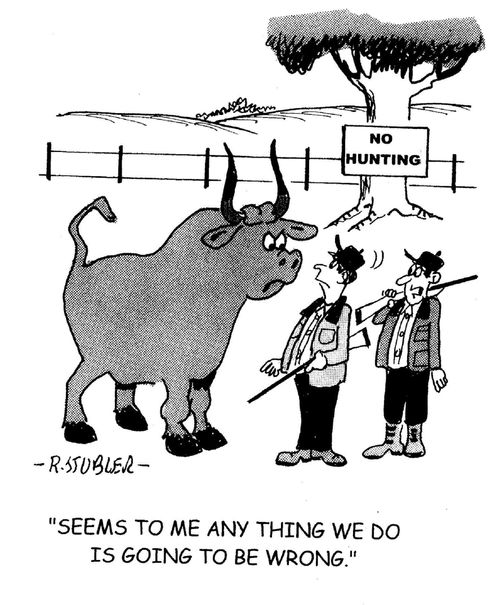 'Seems to me any thing we do is going to be wrong.'