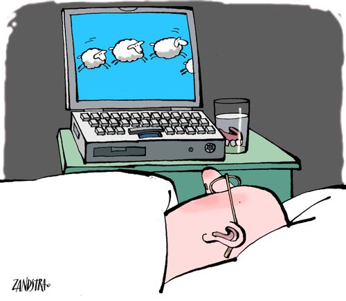 Man watching sheep on laptop.