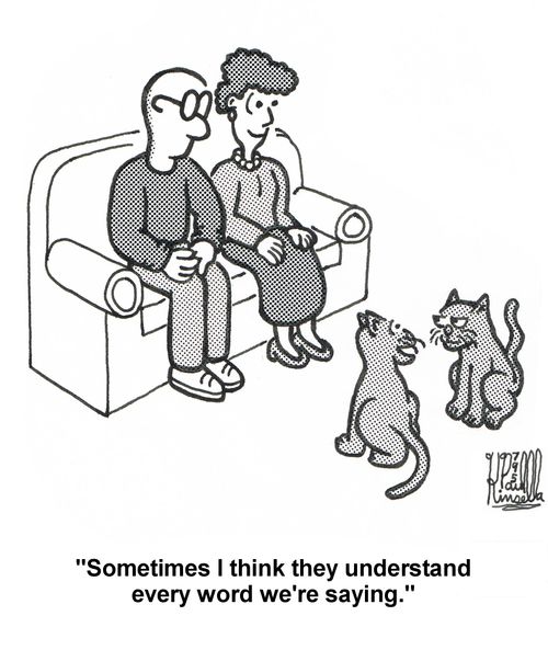 'Sometimes I think they understand every word we're saying.'